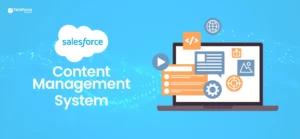 salesforce-content-management-system-cms