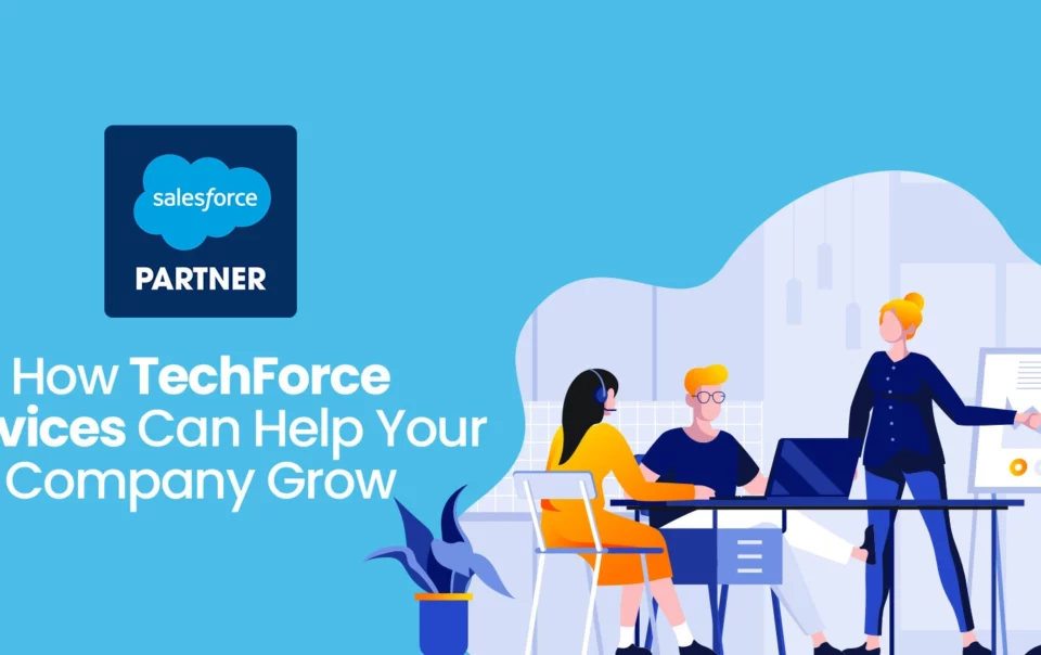 salesforce-consulting-implementation-partner-techforce-services