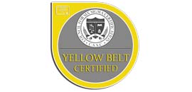 Six Sigma Yellow Belt Certified