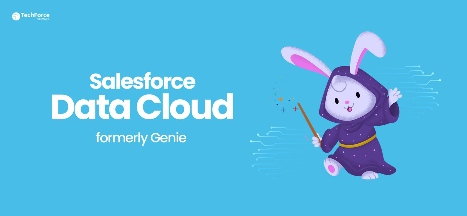 Salesforce-Data-Cloud的中問題集