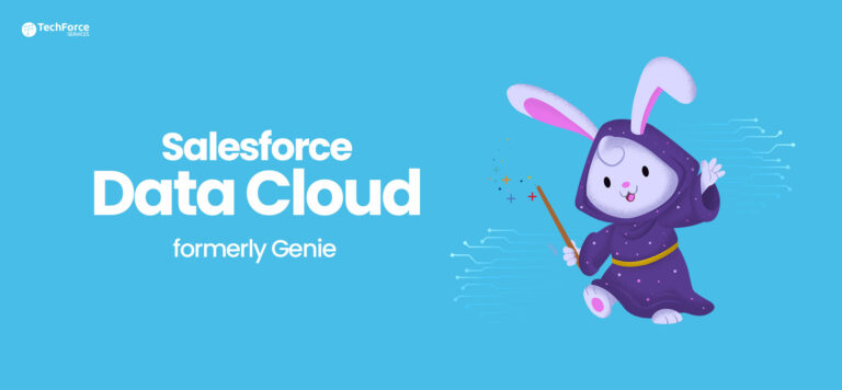 Salesforce-Data-Cloud Prüfungsinformationen