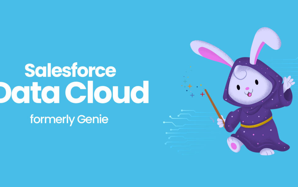 Salesforce-Data-Cloud
