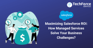 Maximizing Salesforce ROI