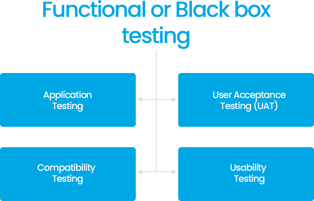 Illustration of functional or black box testing, a Salesforce testing technique
