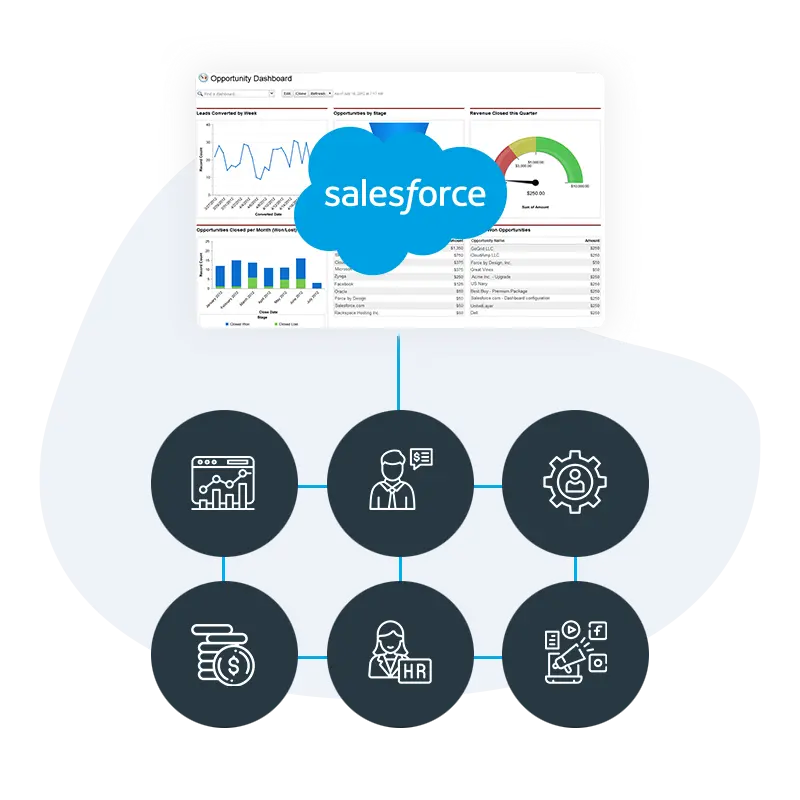 Salesforce CRM Analytics Consulting | 10+ Yrs Expertise