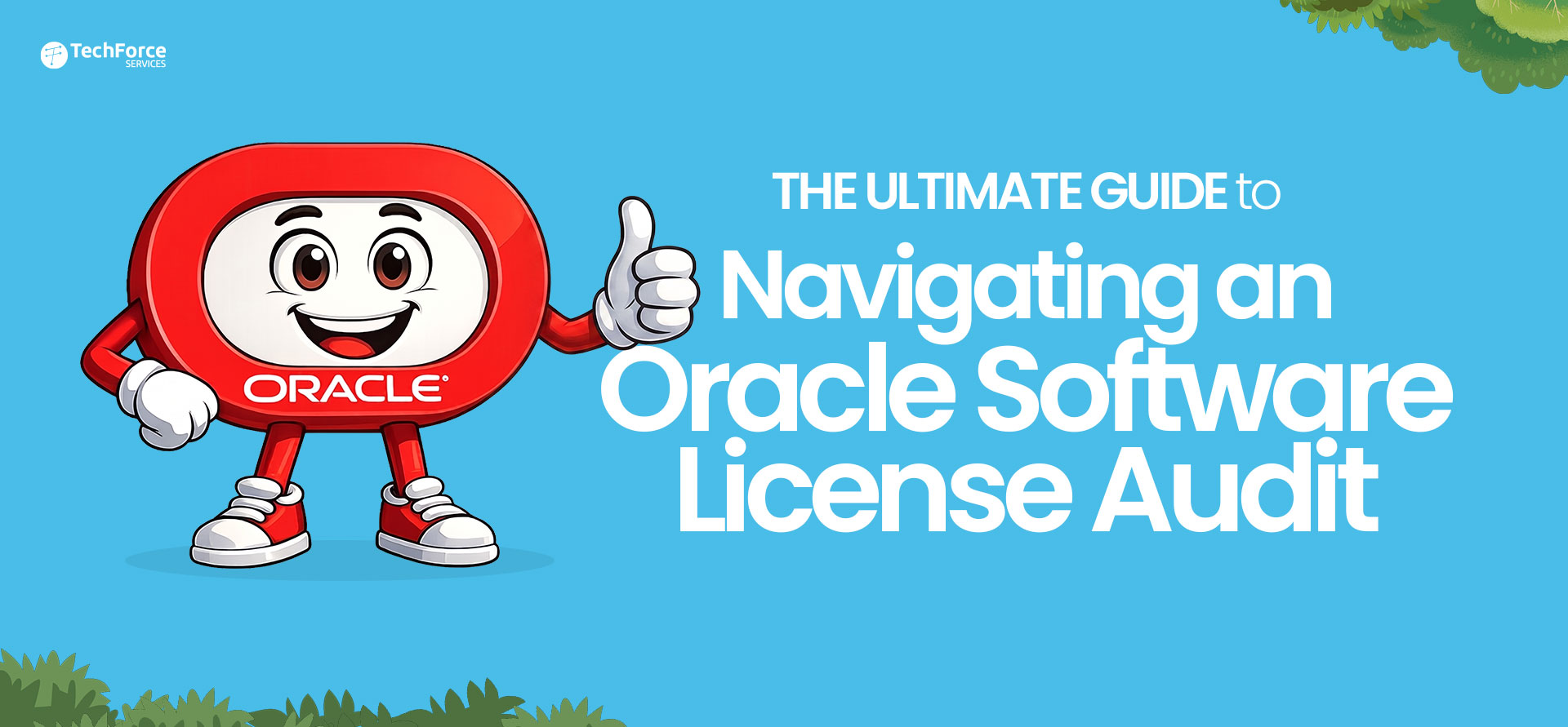 The Ultimate Guide to Navigating an Oracle Software License Audit.